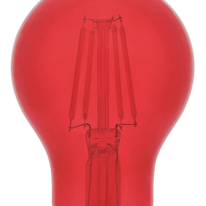 4.5 Watt (40 Watt Equivalent) A19 Filament LED Light Bulb