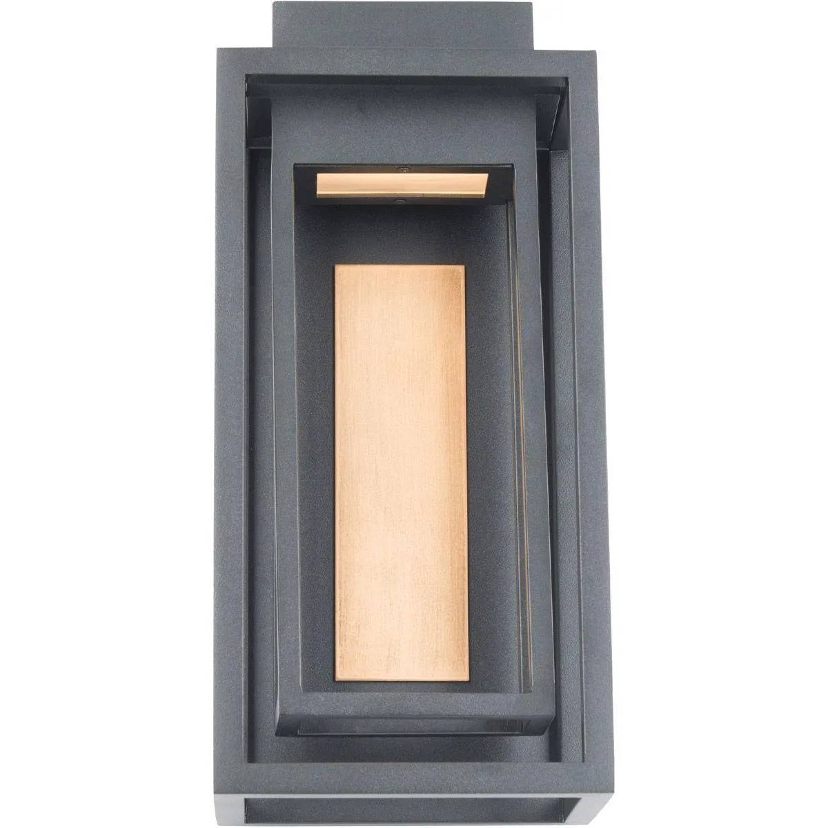 Dorne 14 In. LED Outdoor Wall Light Black Finish