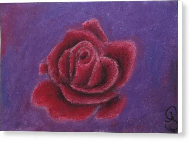 Rosy Rose ~ Canvas Print