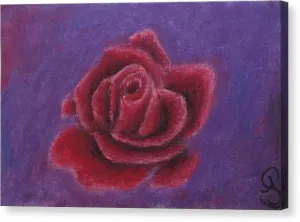 Rosy Rose ~ Canvas Print