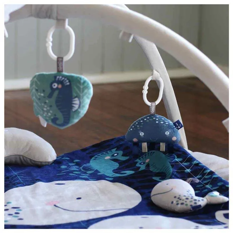 Whale Of A Time Sensory Toy Set